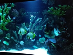 Океанариум