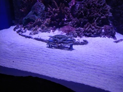 Океанариум