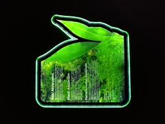 Океанариум