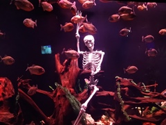 Океанариум