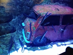 Океанариум