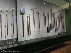 Зеленые своды