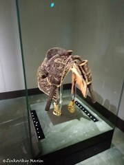 Зеленые своды