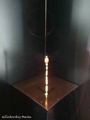 Зеленые своды