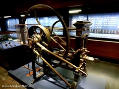 Зеленые своды