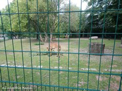 Дрезденский зоопарк