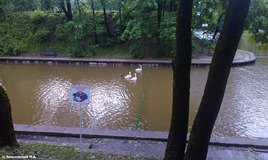 Смоленск. Лопатинский сад